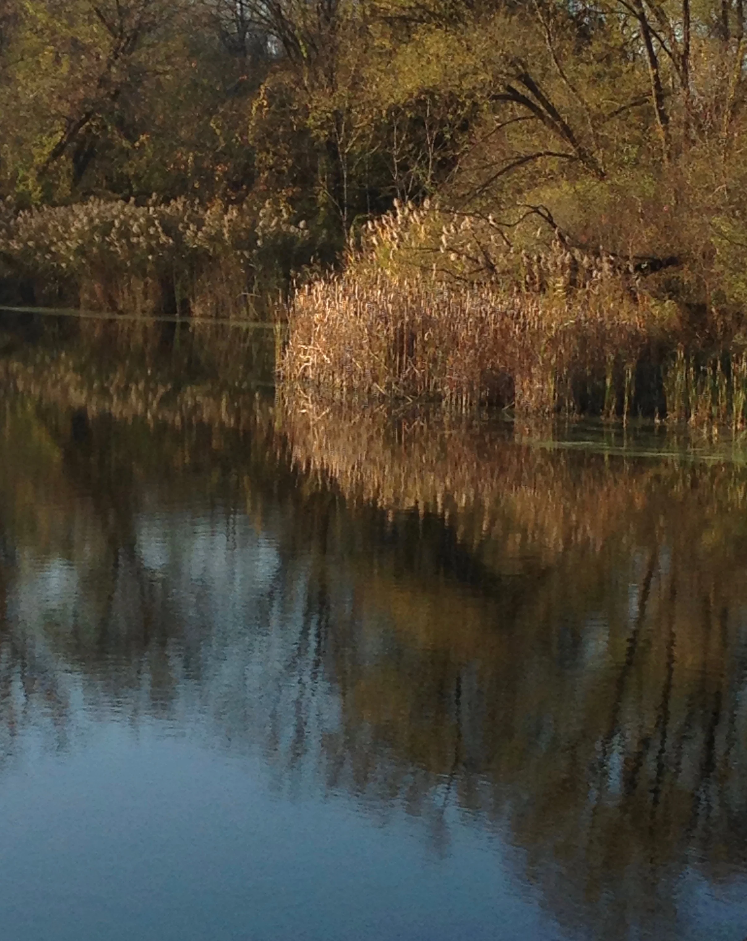 Reflection&Reflexion3.jpg