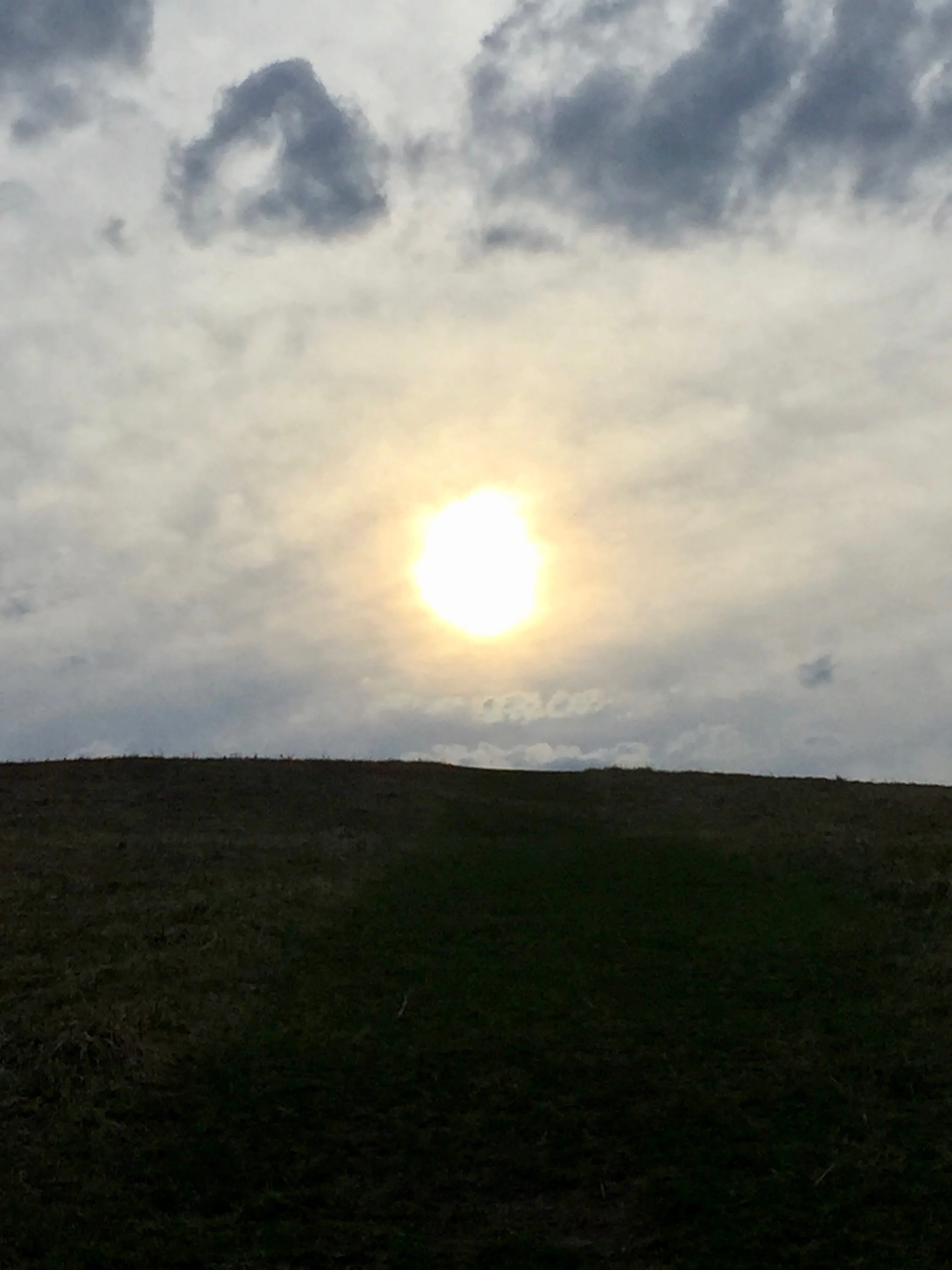 IMG_3134.jpeg