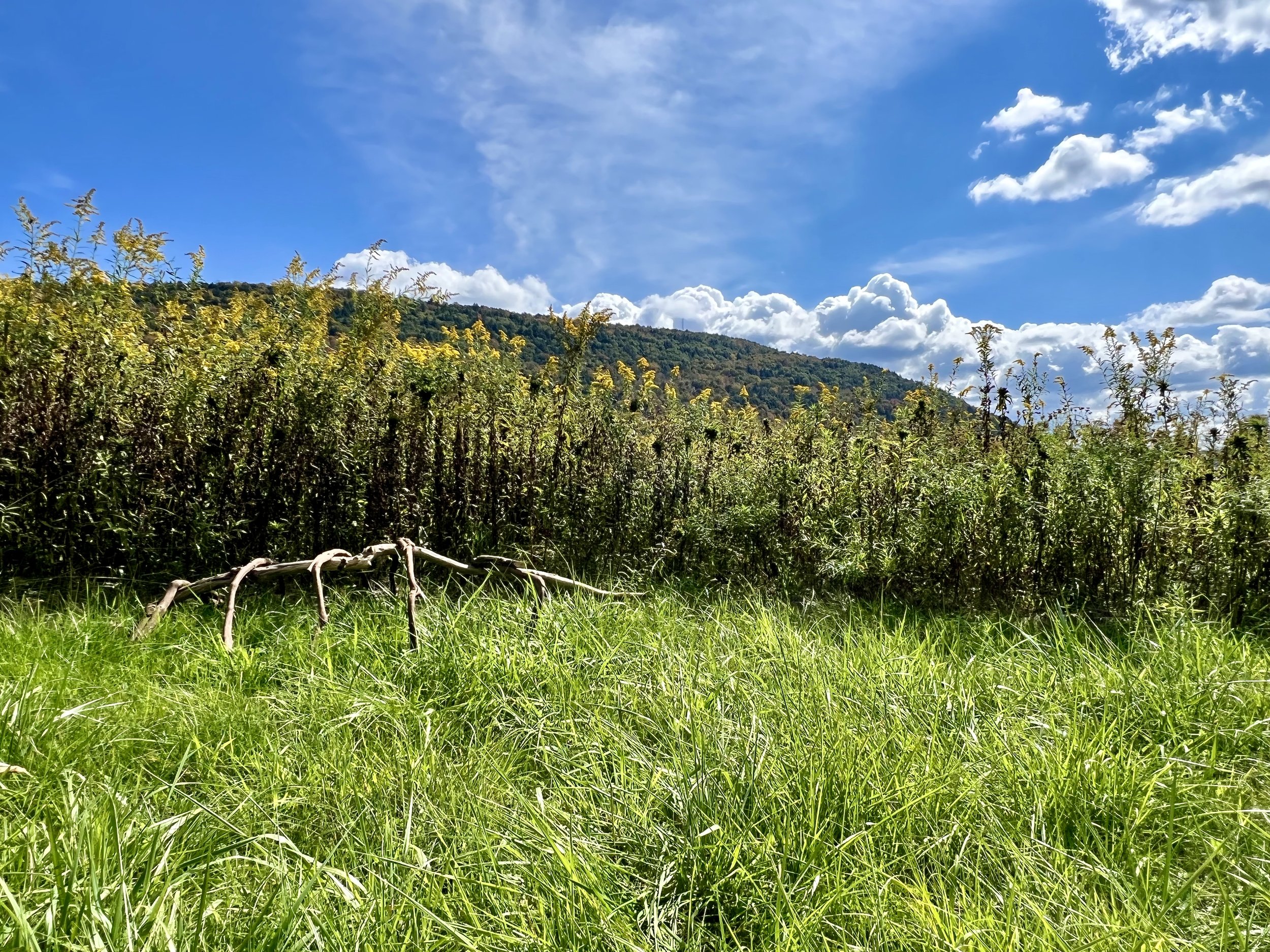 In Community and Kinship...