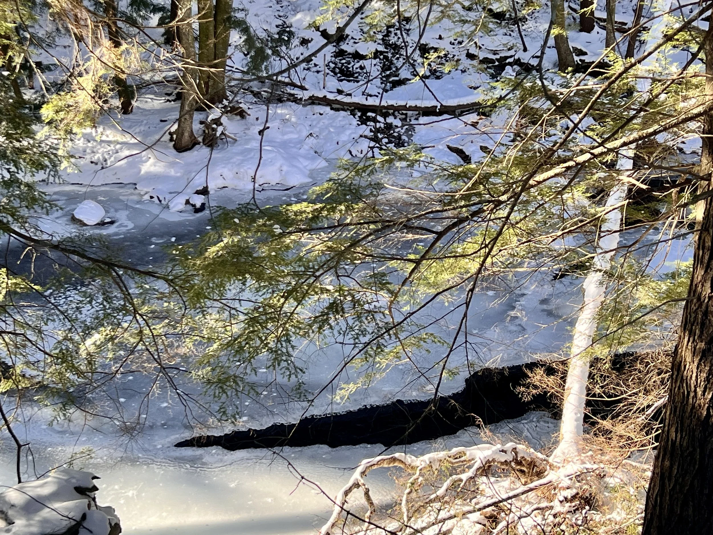 Winter KIN &amp; Light-Hearted Darkness