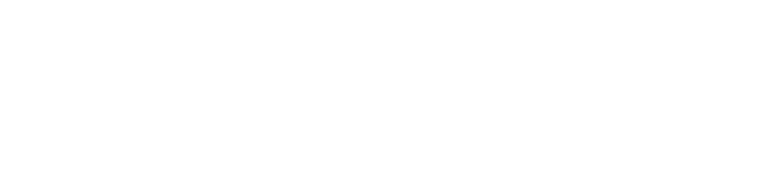 logo veer copie.png