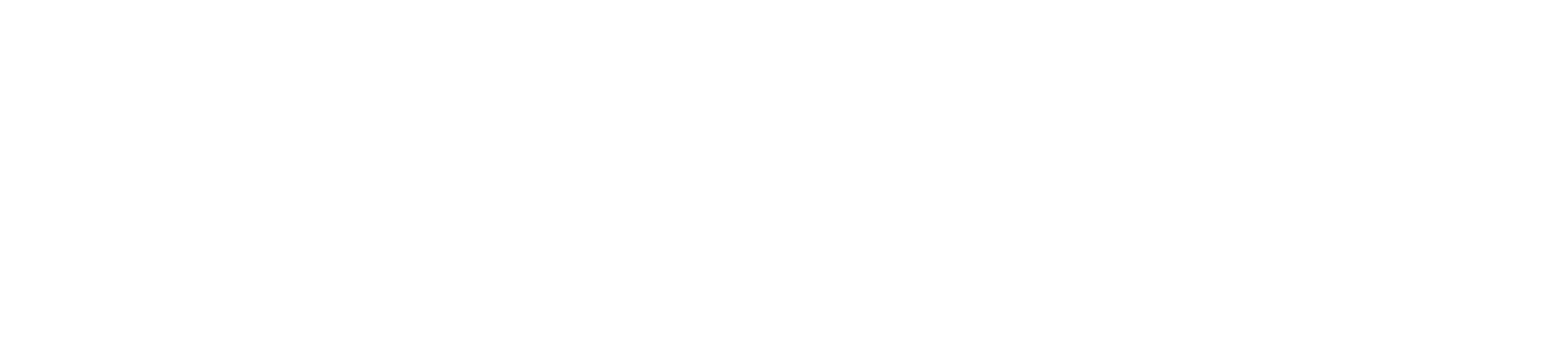 logo orange3.png