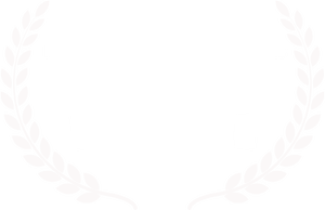 qldxrfestivalwinnervrinteractiveexperiencesw.webp