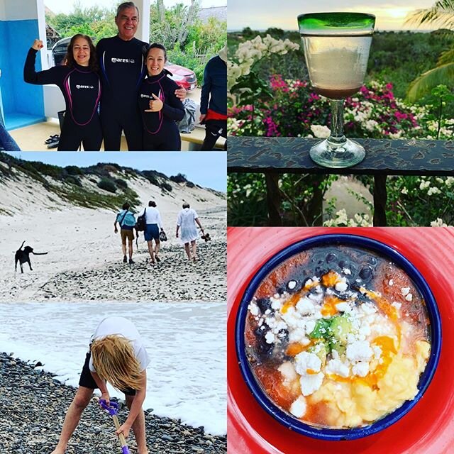 Some if by land, some if by sea  @thefarmcooks #treeoflifetreetreeofjoy #treeoflifeturkishhomecooking snorkeling, walks on the beach, cooking class, traditional Mexican breakfast. And #solewater thank you @marlynwellness @balanceofbliss @handmadebysh