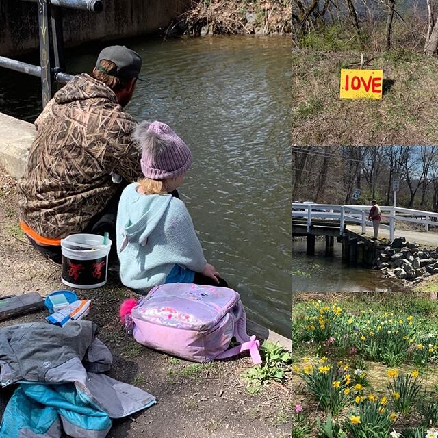 Teach a daughter to fish... #homeagain #covid19 #treeoflifetreeofjoy  what I see when I walk alone. @sarahandmonster @rubytipu @kemily424 @burgessleafarm @anatolian_angie #delawareriver #delawarerivertowns