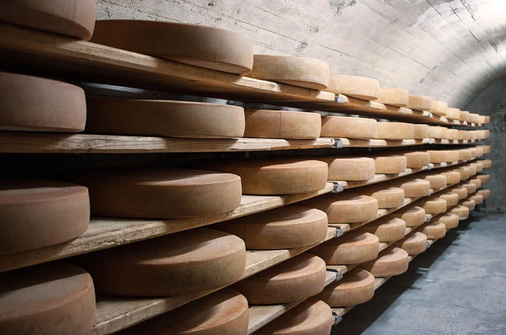 Category Insights: Cheese