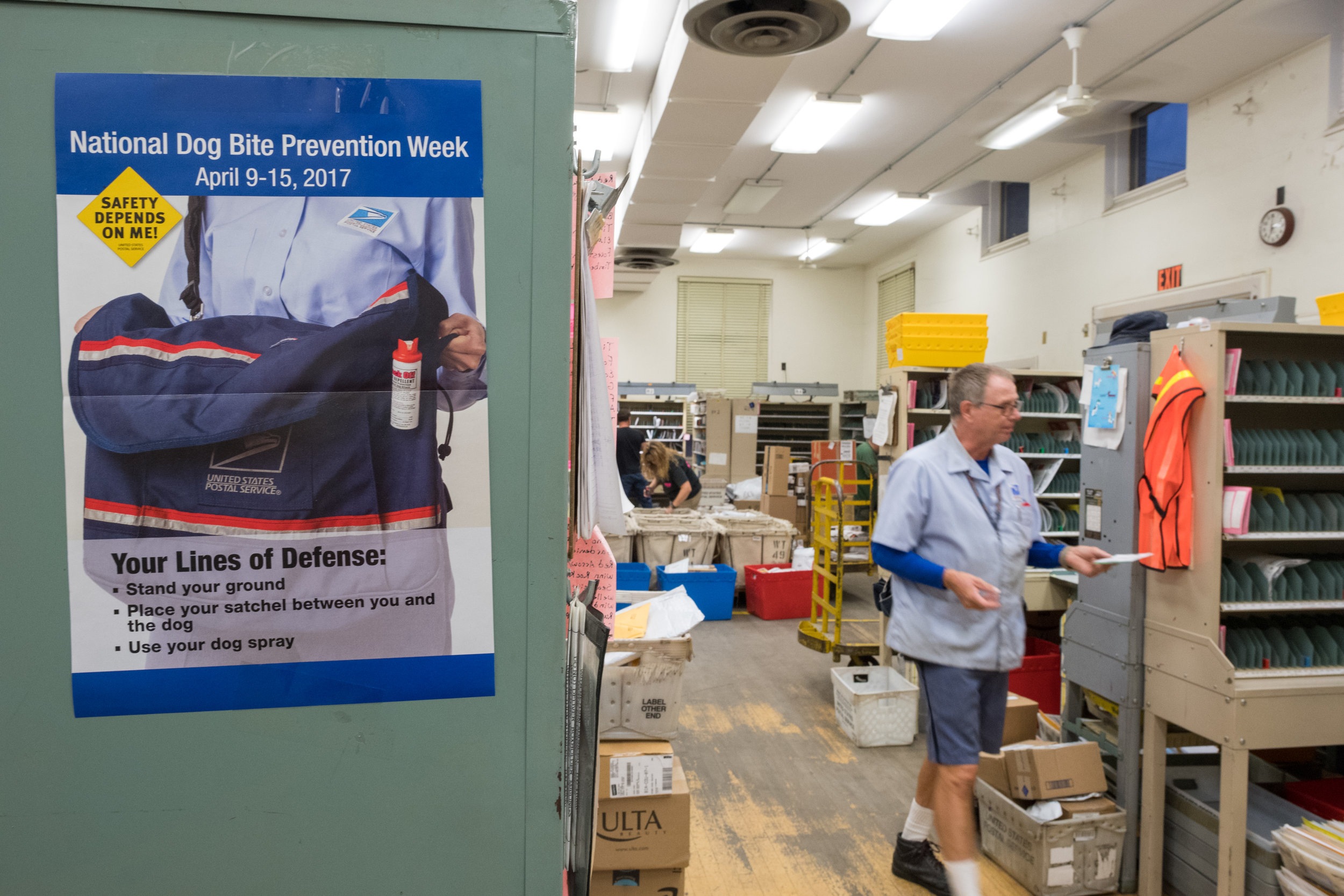  Postal carriers receive regular training on avoiding dog bites.&nbsp; 