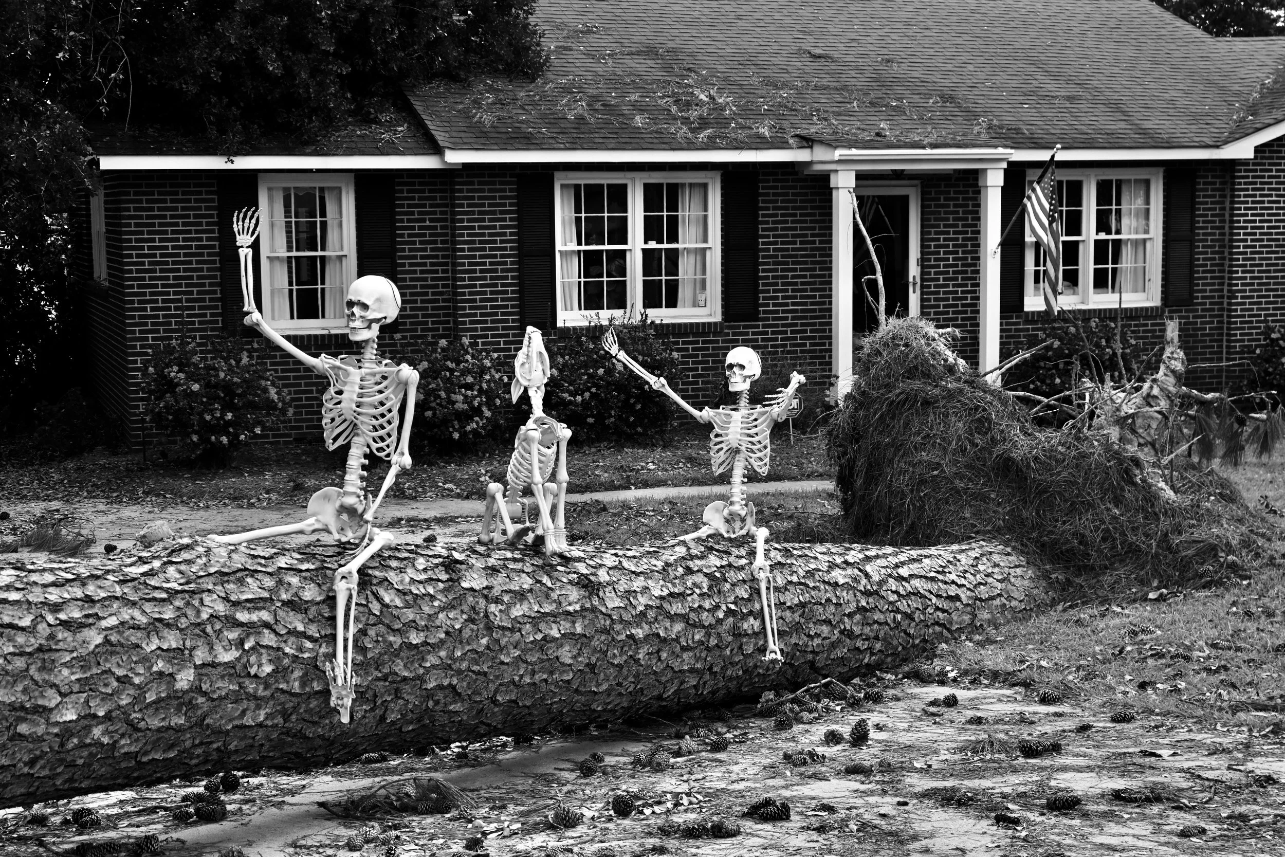 Erin_Tallent_A Helene Halloween_.jpg