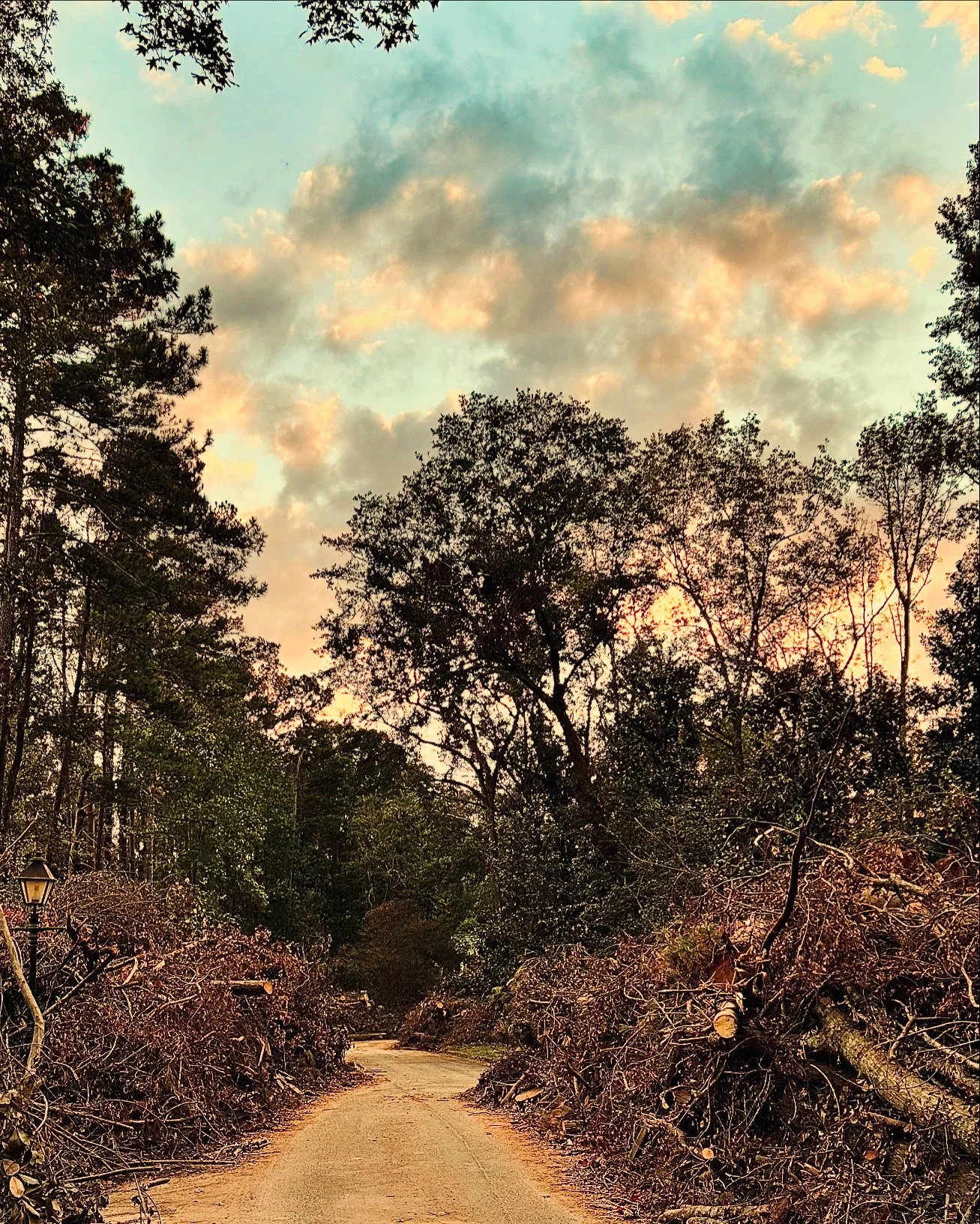 Jim_Wynn_The_Long_and_Winding_Road(1).jpg