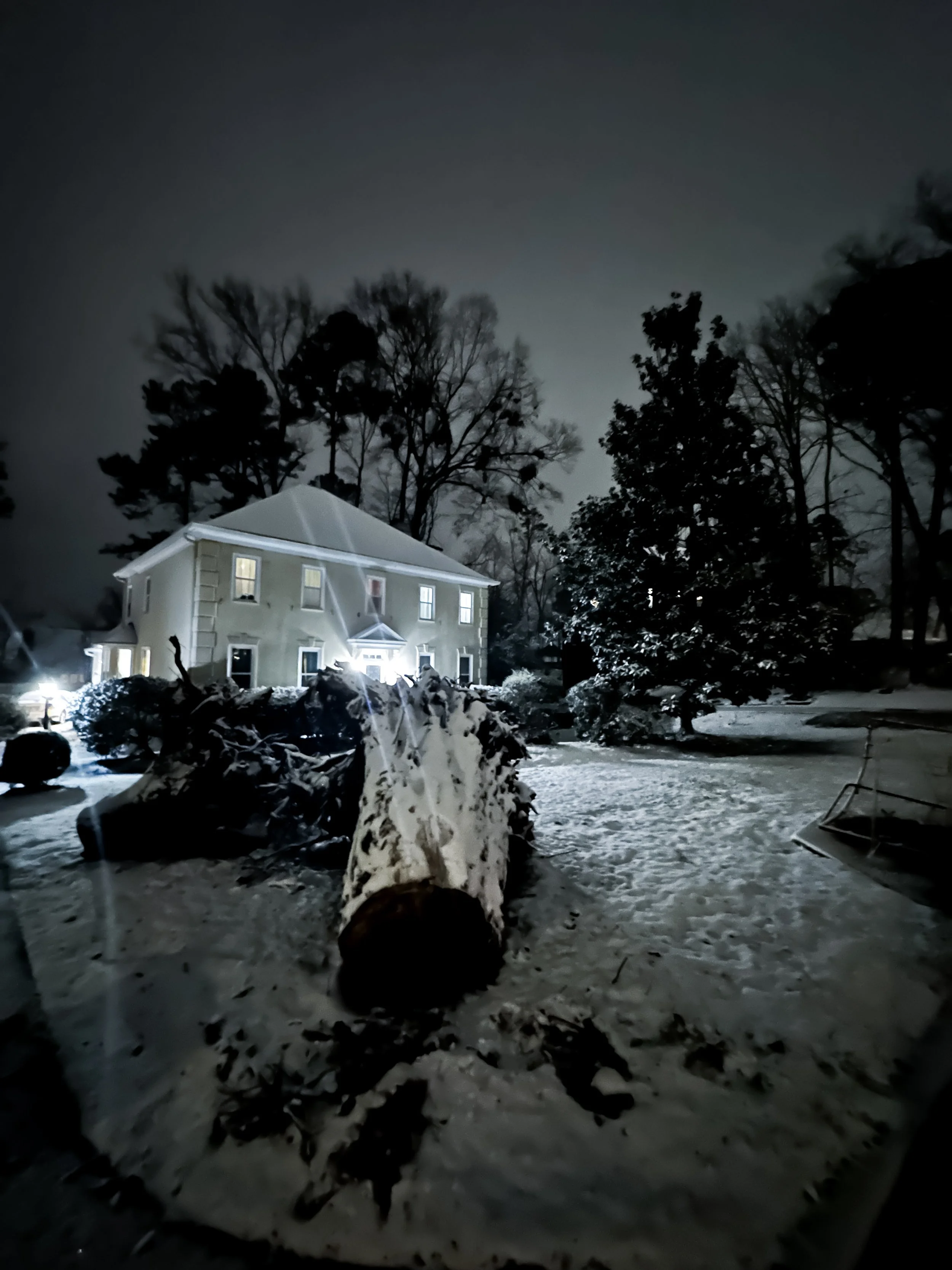 House of light, Tree of silence_.jpg