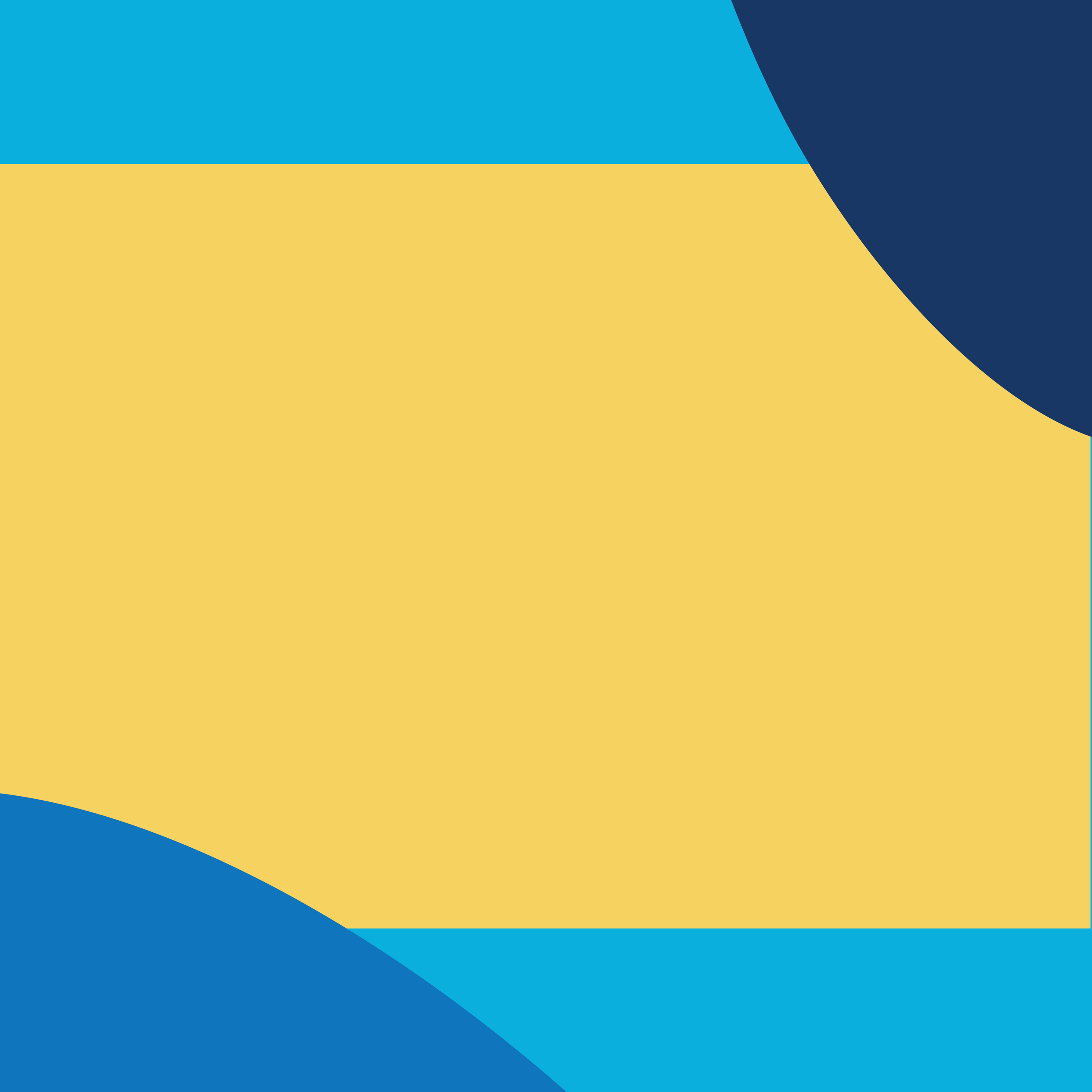 Become a Program Sponsor!