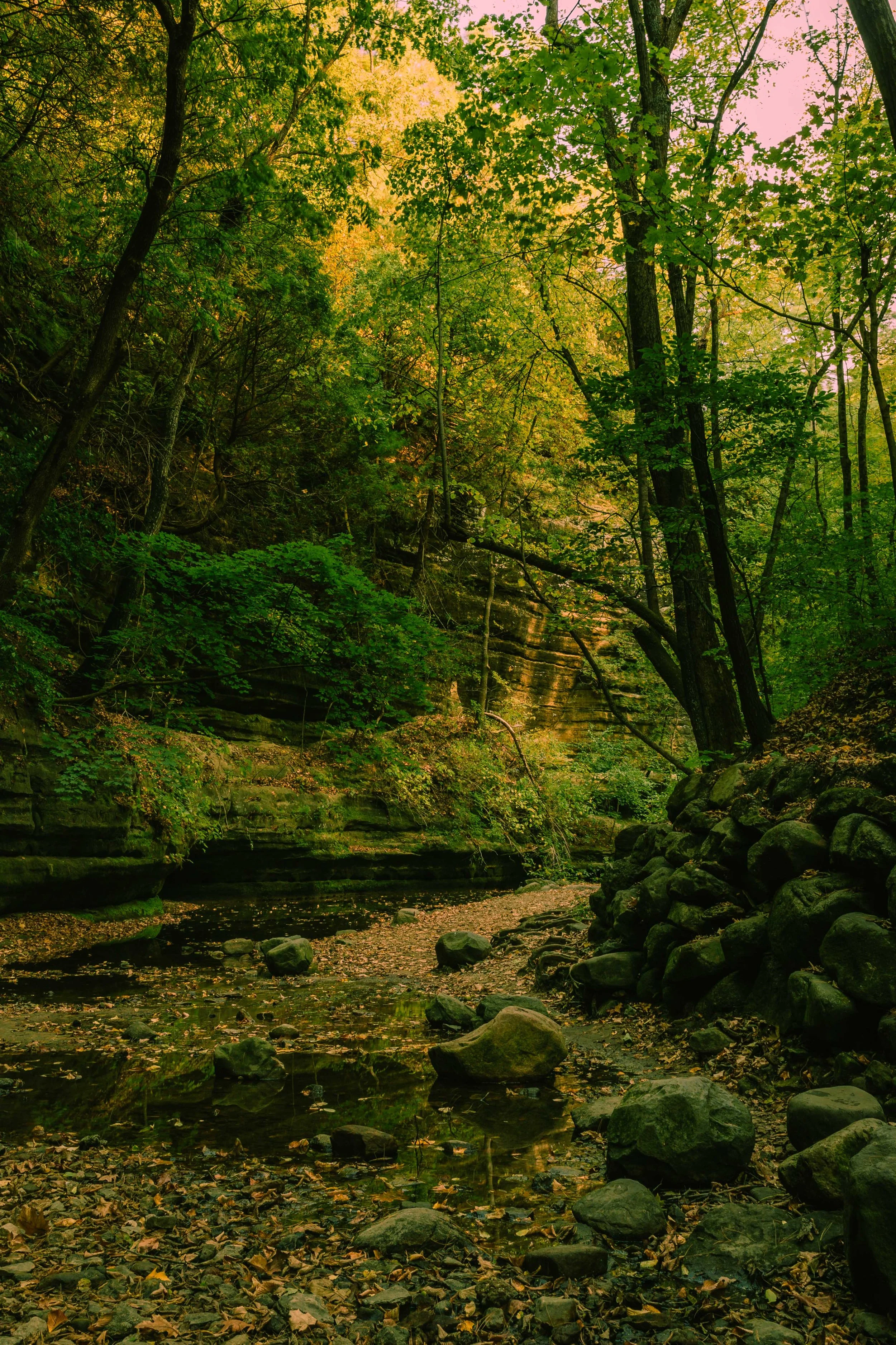 Around The Bend.jpg