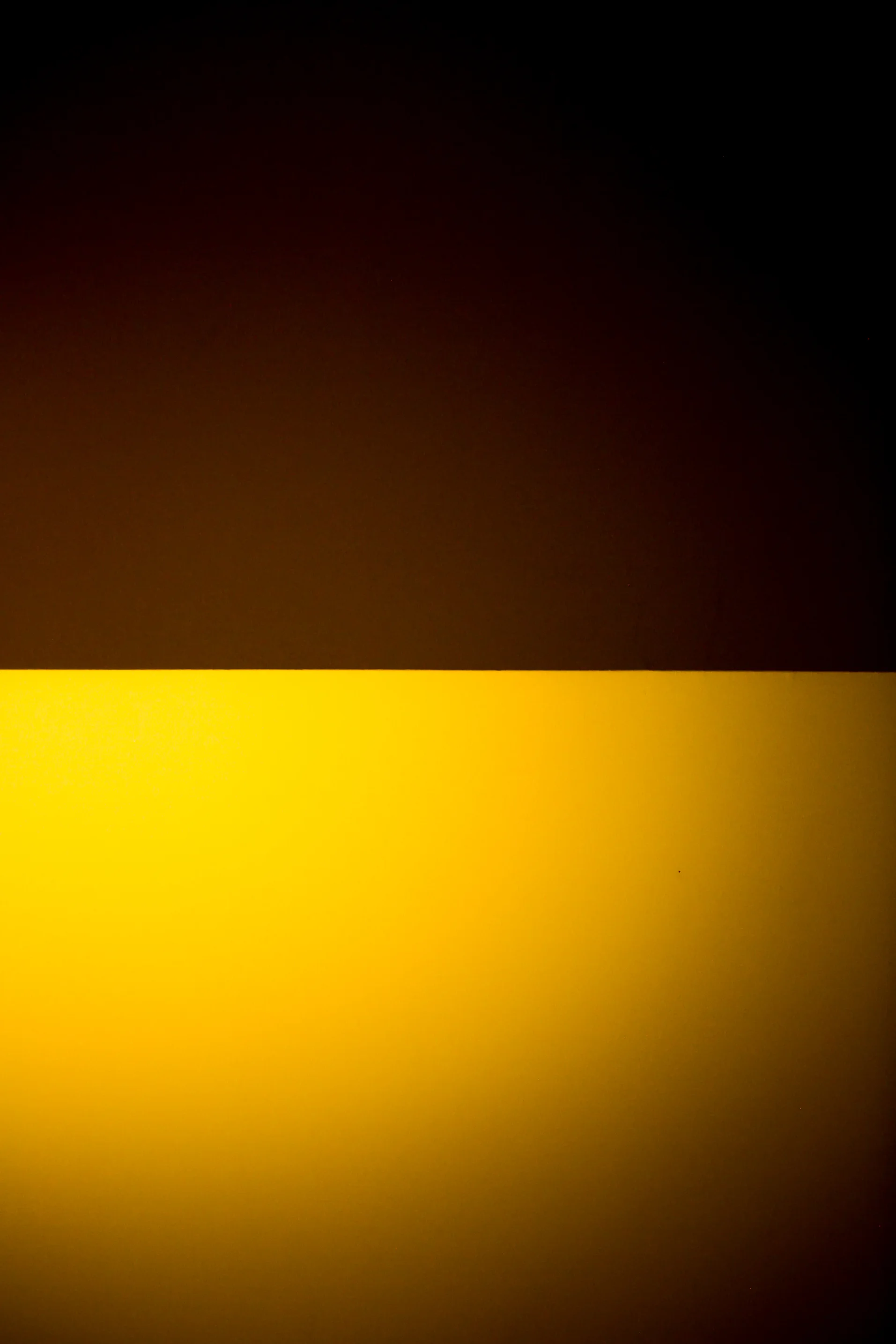 2 toned walls-1.jpg