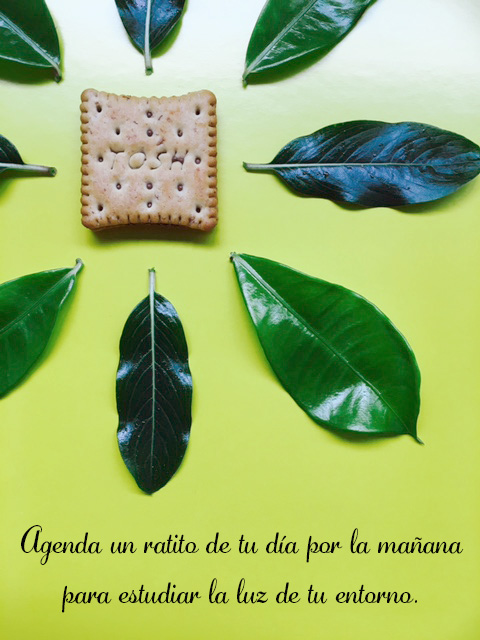Es importantísimo estudiar la luz donde vas a hacer las fotos. Te recomendamos en la mañana porque la luz tiende a ser “más fresca”. Procura buscar una mesa bajita (mesita de noche) que la puedas colocar cerca de una ventana bien iluminada por el sol, para que la ventana nos ayude a suavizar la luz. Si te fijas, en la mayoría de las fotos la luz es muy suave, eso quiere decir que las sombras no son tan oscuras (como el sol al medio día en la playa). Las fotos son claras y eso ayuda a todo se vea más fresco.