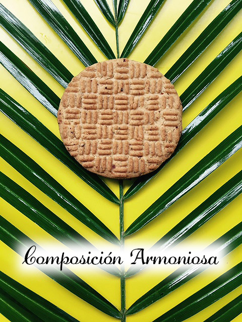 Toda la preparación que hemos visto es vital, pero ahora viene lo más importante, la composición. Es importante darle armonía a la imagen para que sea atractiva a la vista. Todas las fotos que vamos a presentar se van a desarrollar en ángulo cenital, eso quiere decir que la foto la haces exactamente sobre nuestra composición, con el celular lo más recto posible para evitar la perfectiva.
