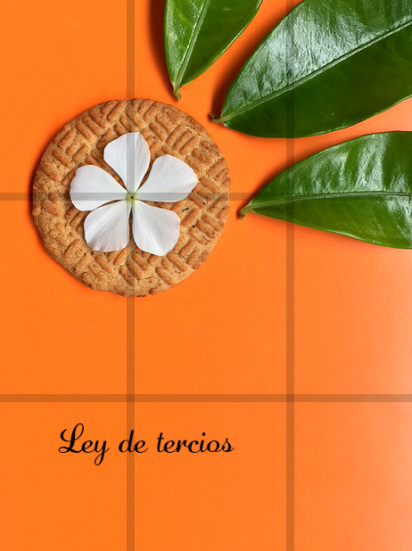 Debemos de quitarnos el miedo de colocar elementos en las esquinas. La ley de tercios nos ayuda a balancear la colocación de nuestros ingredientes fuera del centro para generar más dinamismo en nuestra composición.