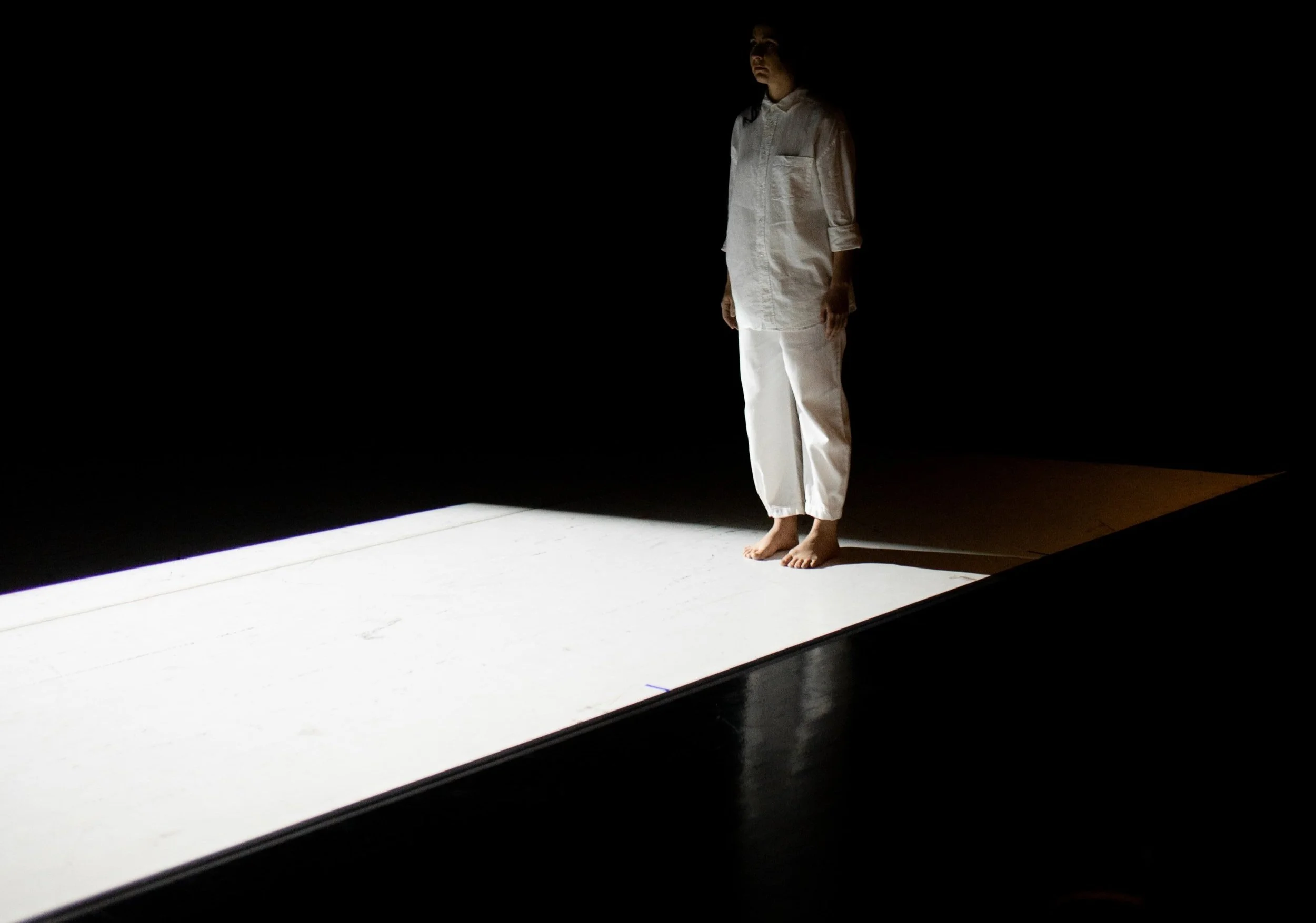 The Woods at Monday Movement Lab