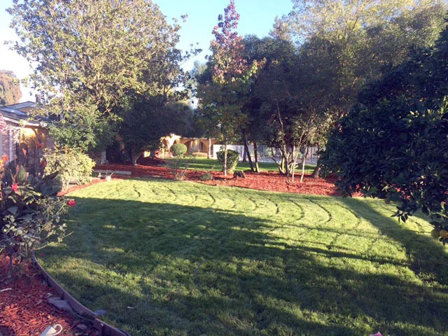 rancho_grass.jpg