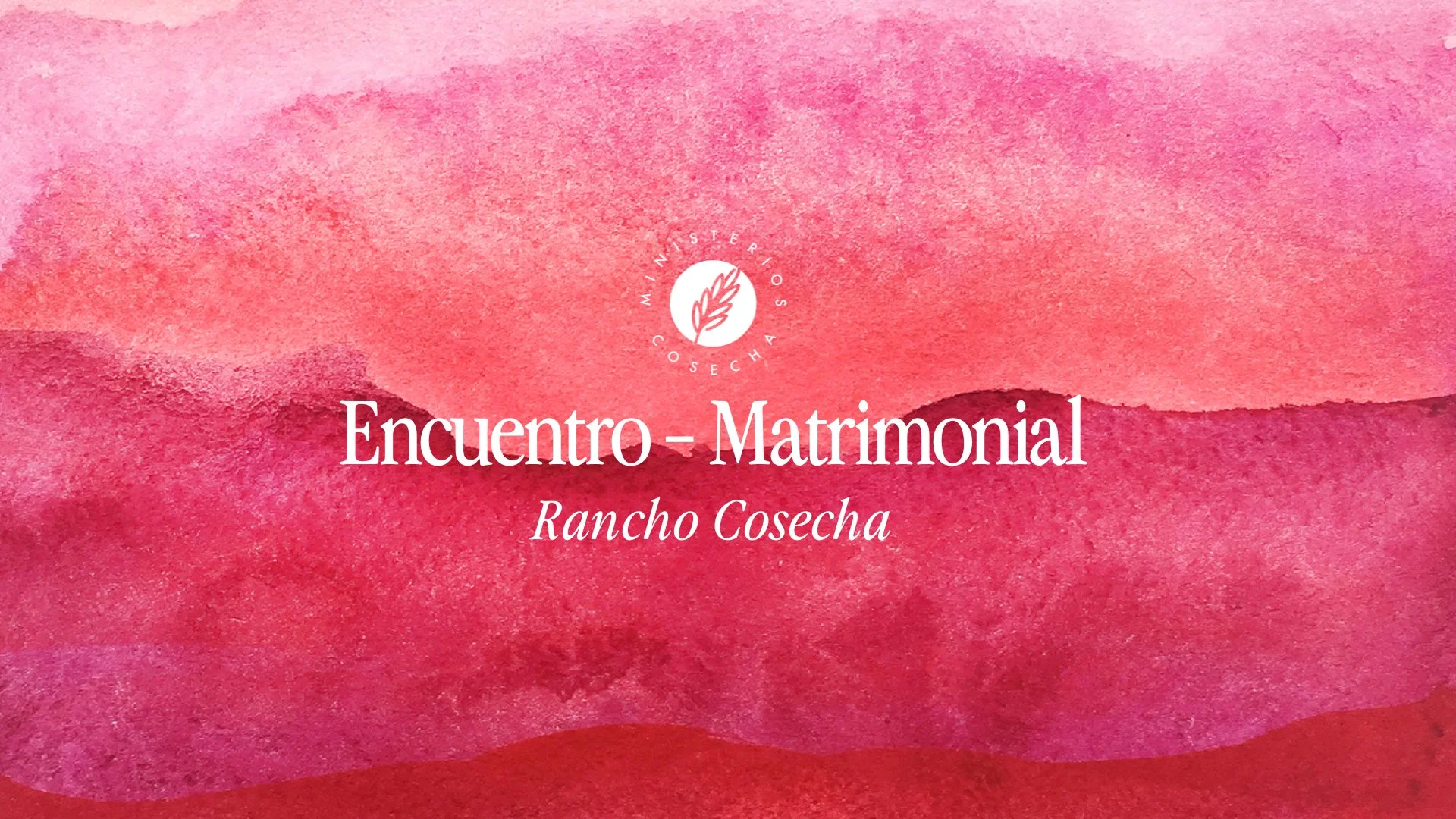 Encuentro - Matrimonio