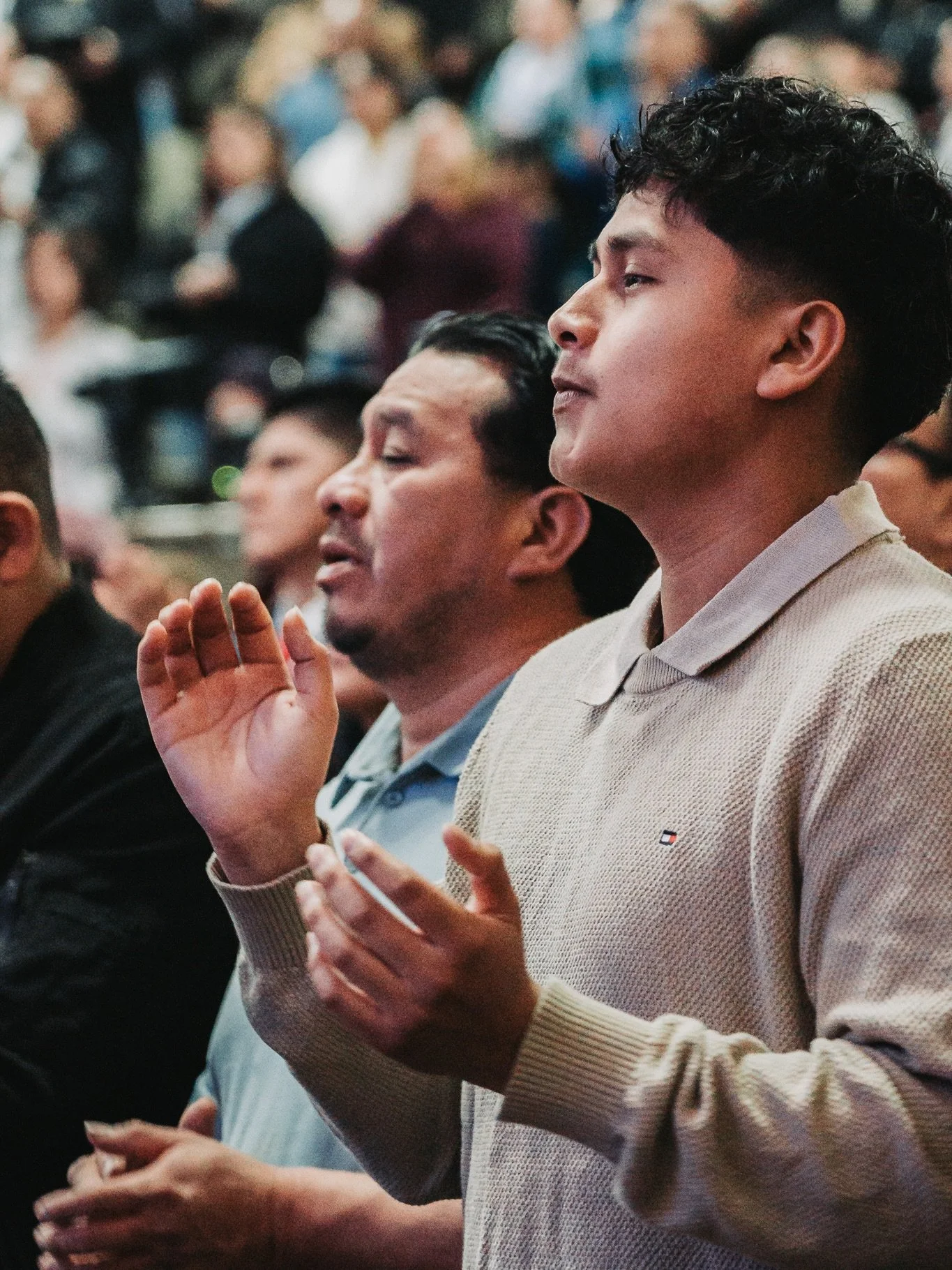 &ldquo;Busquen la paz con todos, y la santidad, sin la cual nadie ver&aacute; al Se&ntilde;or. Cu&iacute;dense de que nadie deje de alcanzar la gracia de Dios; de que ninguna ra&iacute;z de amargura, brotando, cause dificultades y por ella muchos sea