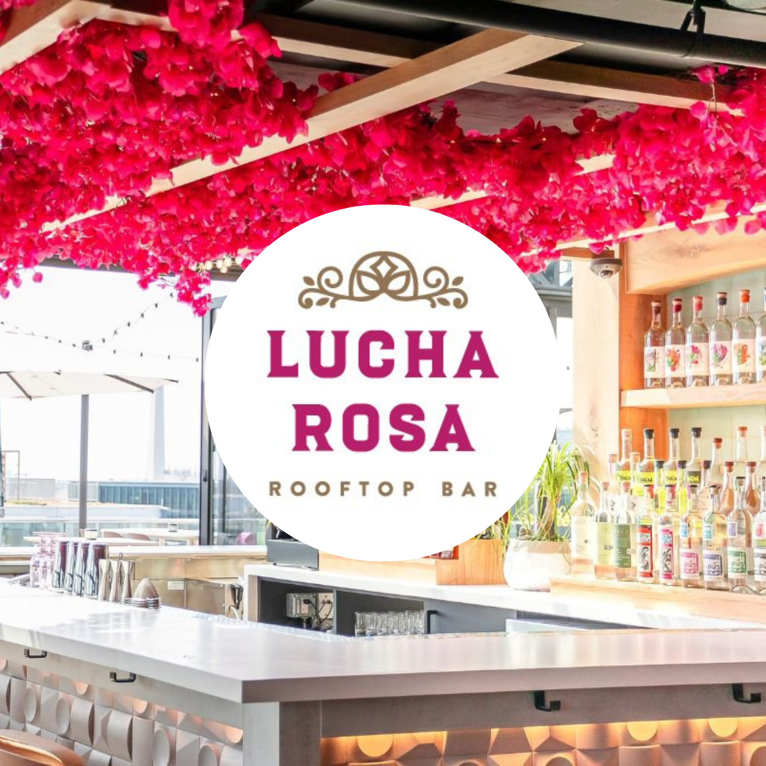 Copy of Untitled Design (10).png