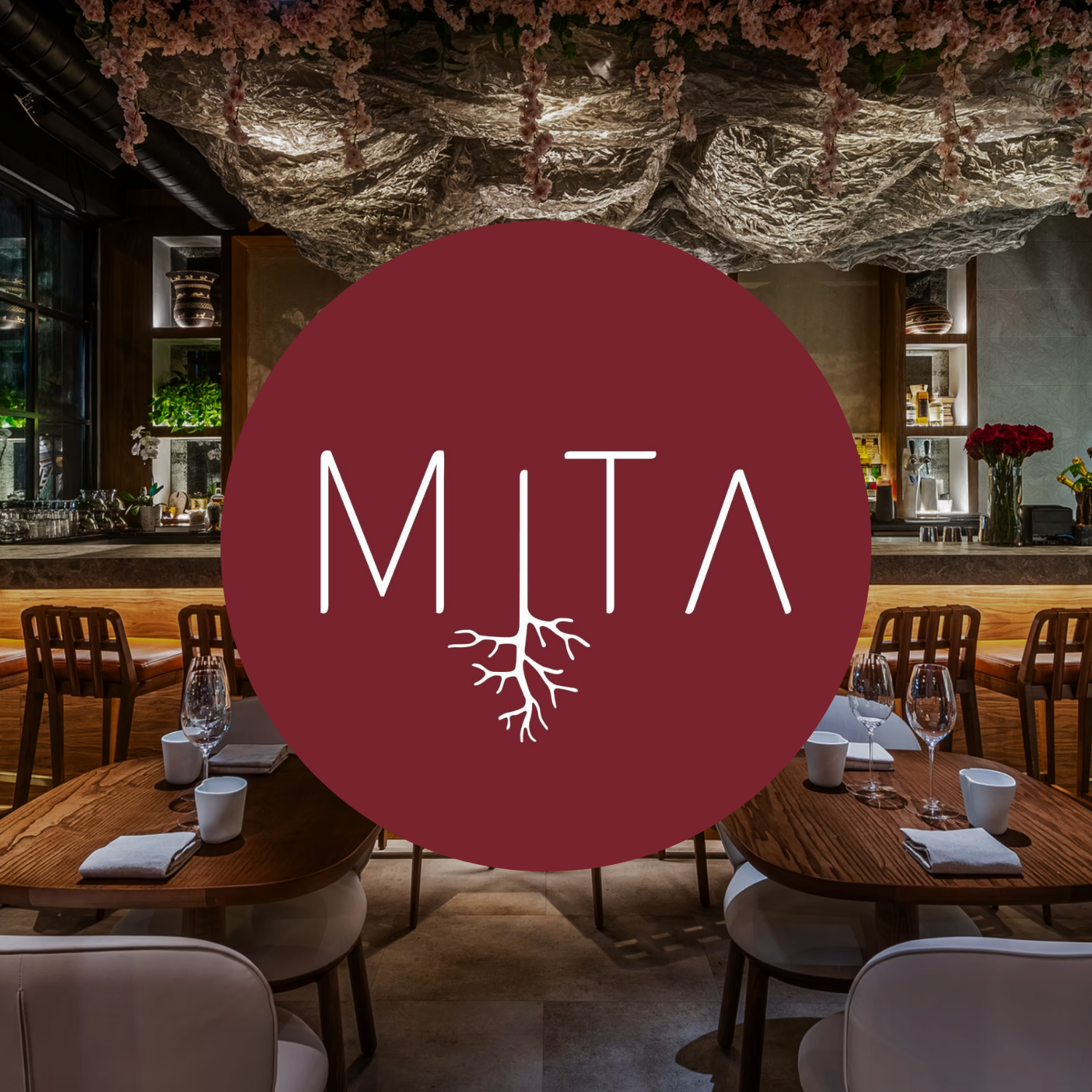 Copy of Untitled Design (15).png