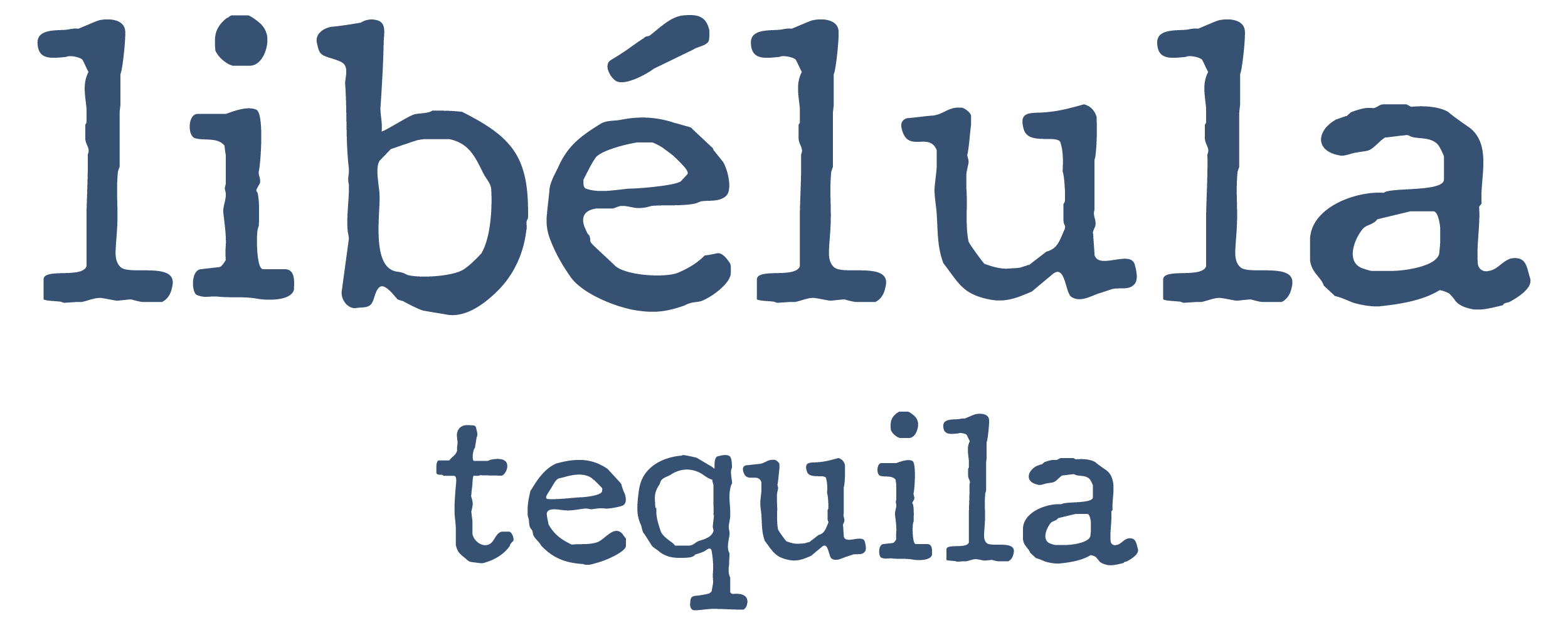 libelula+wordmark_blue logo