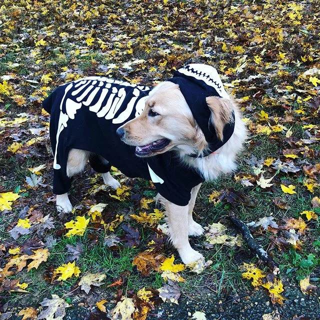 happy halloween! ☠️🎃👻