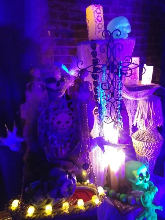 20171028_233520_720.jpg