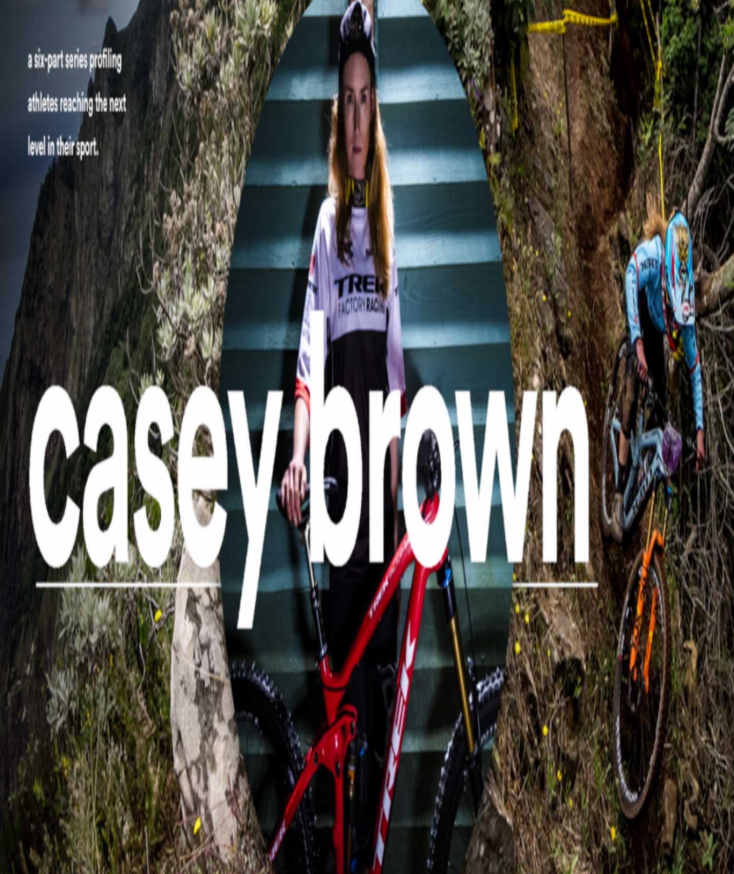 3CaseyBrown.png