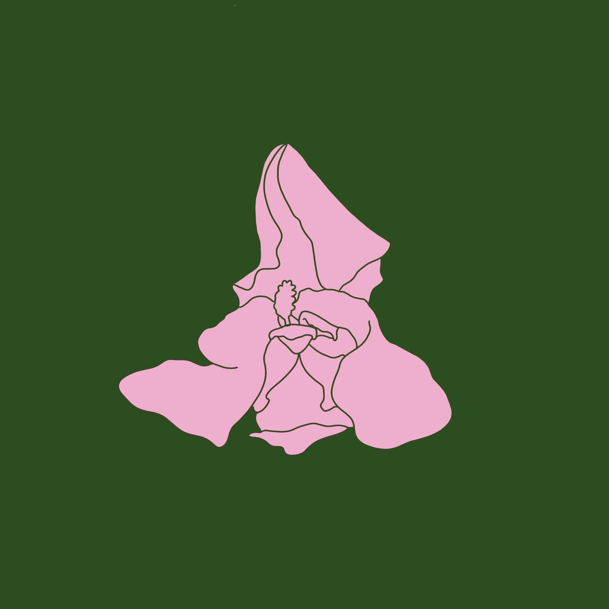 Our Summer 2024 Interns Interview Each Other!