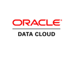 oracle_data_cloud_-_Google_Search.png