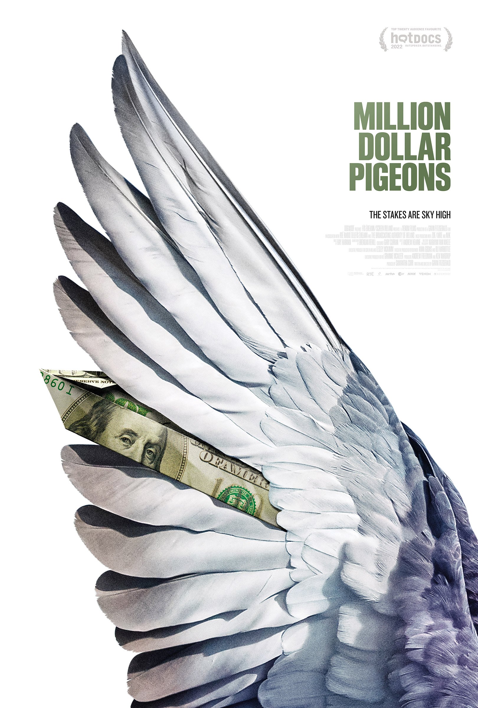 MillionDollarPigeons_Wing_1Sheet_2400px_sRGB_Qual70.jpg