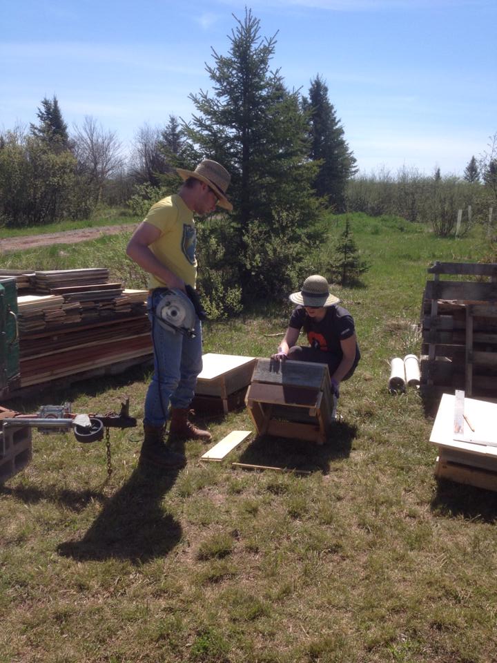 We built boxes to fit 5-gallon buckets,