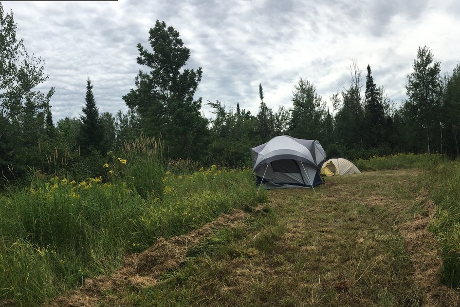 Set up near the pond,