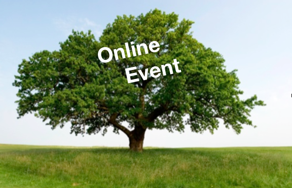 Online NVC Integration Fri/Sat