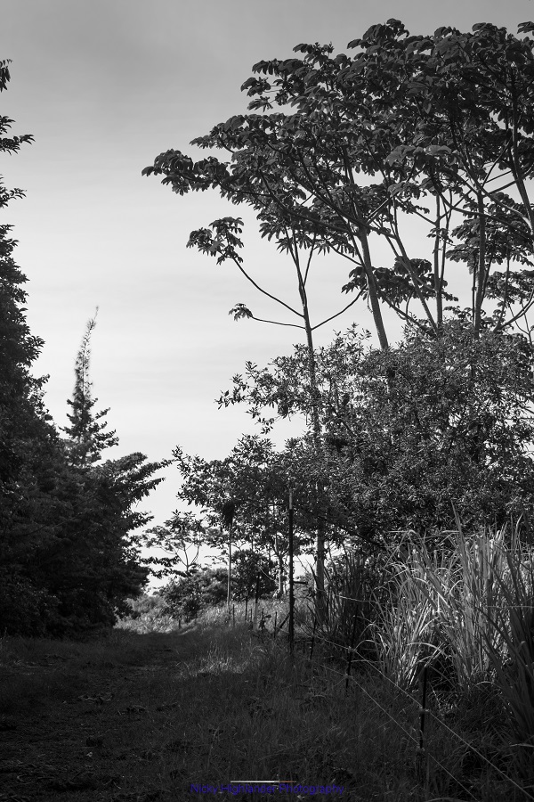 DSC_0423.jpg