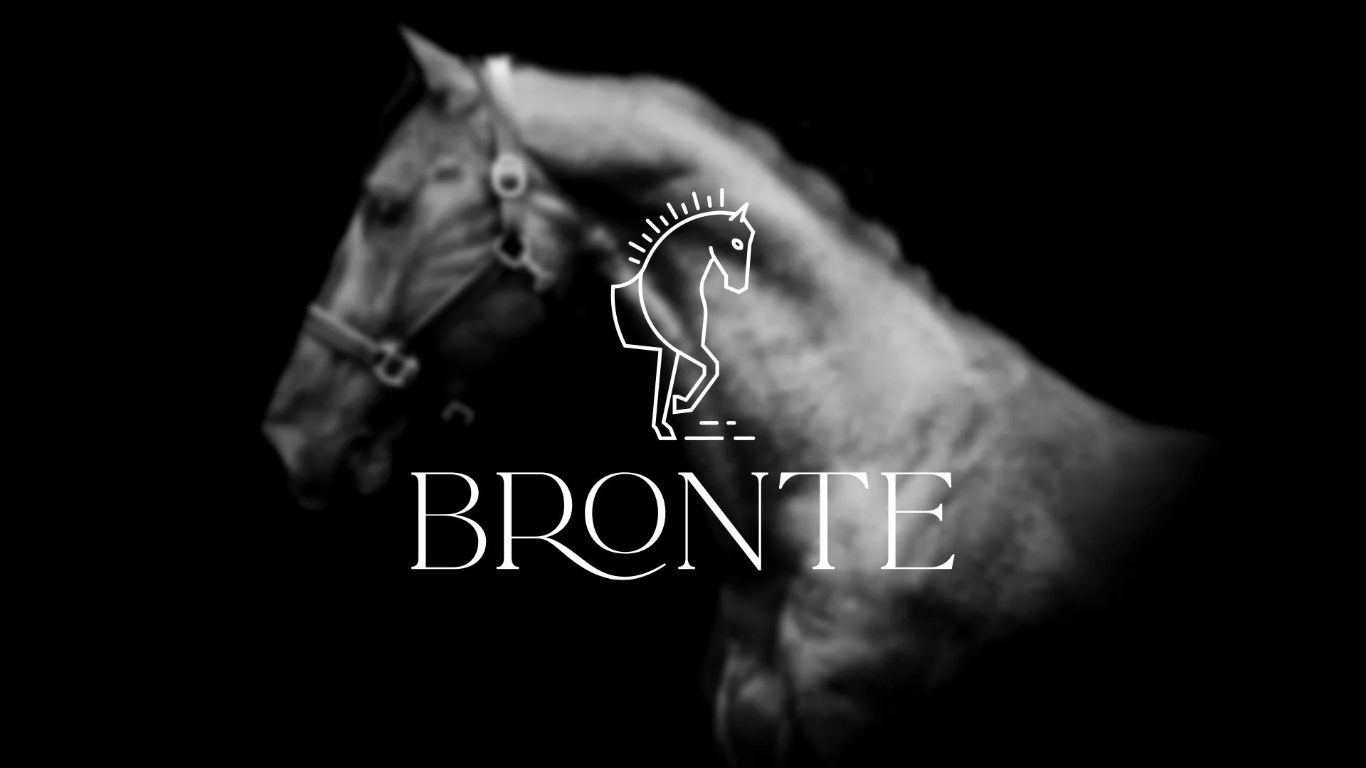 Branding_Bronte_2.jpg