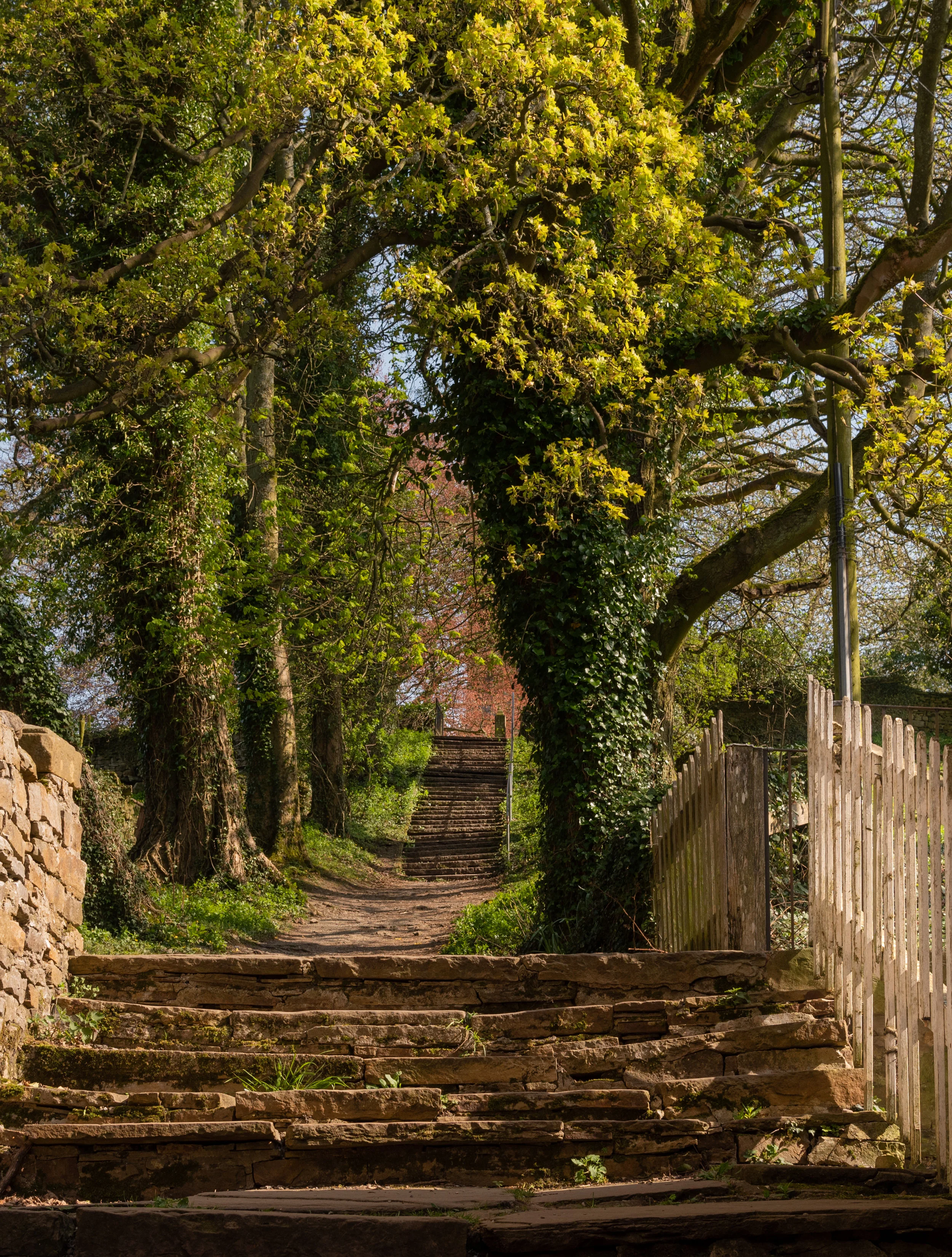 Footpath leading up to St Andrew's Church, Aysgarth