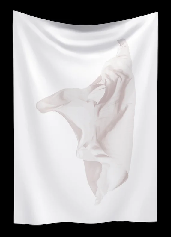 Mirror Mirror Moves House