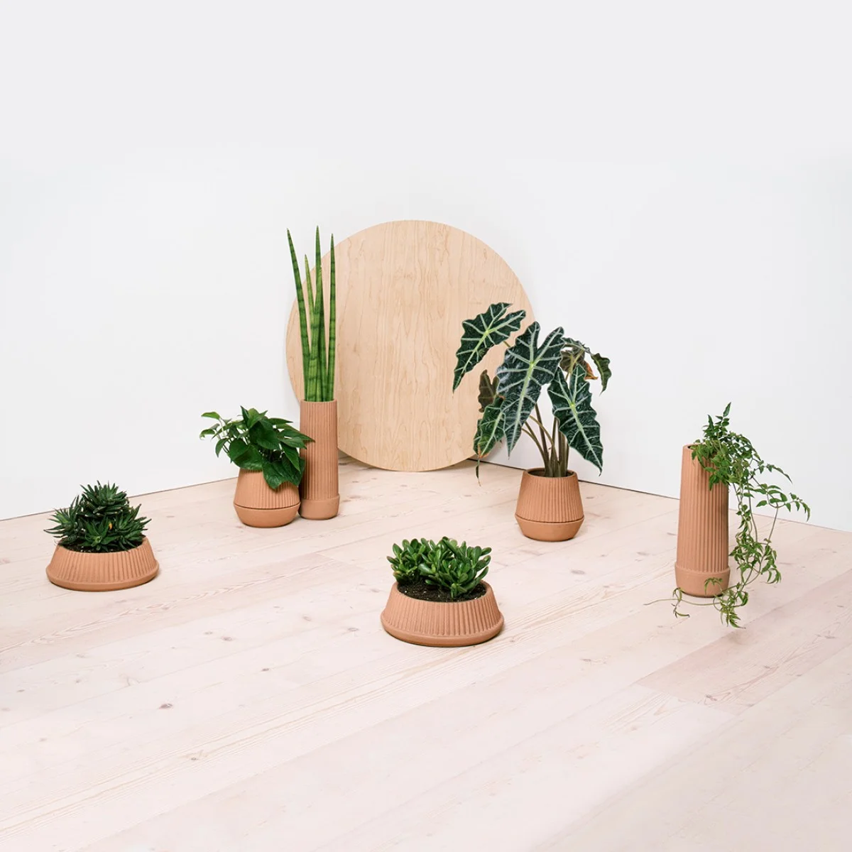 us2015-pleated-planters-group-argb.jpg