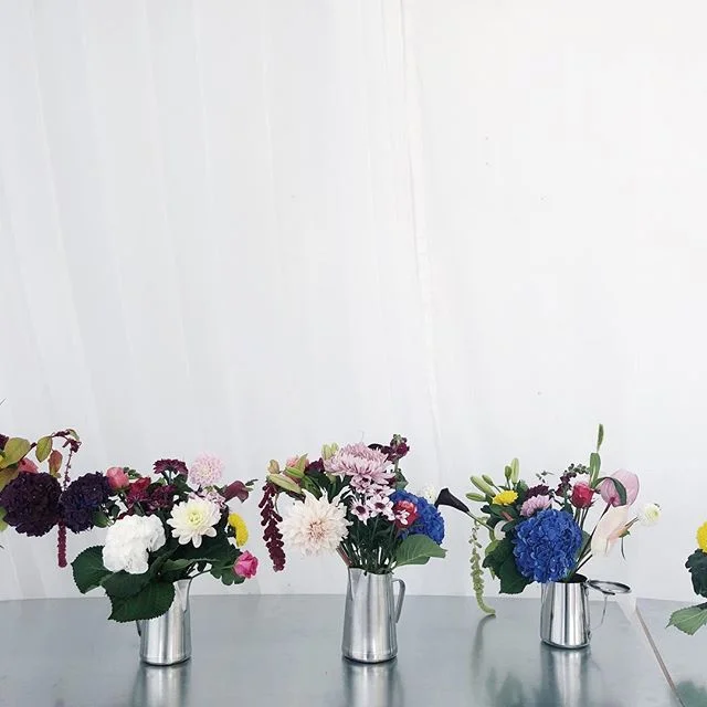 🌷.