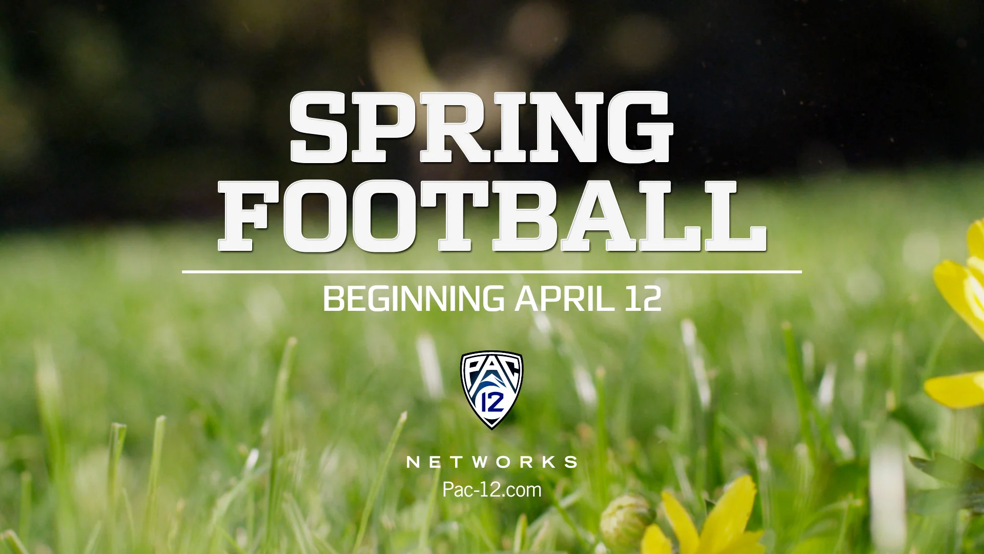 Pac12 Football