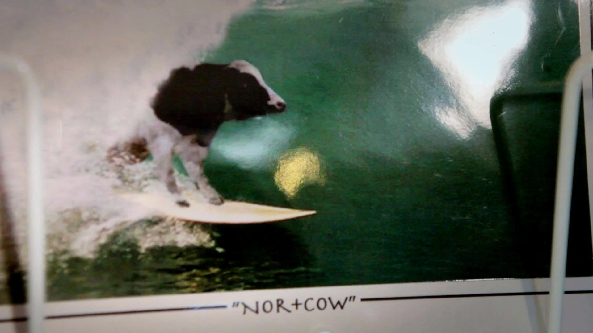 110711_JF_LOCALS_ONLY_FRAMEGRAB_07_WEB_1080p.jpg