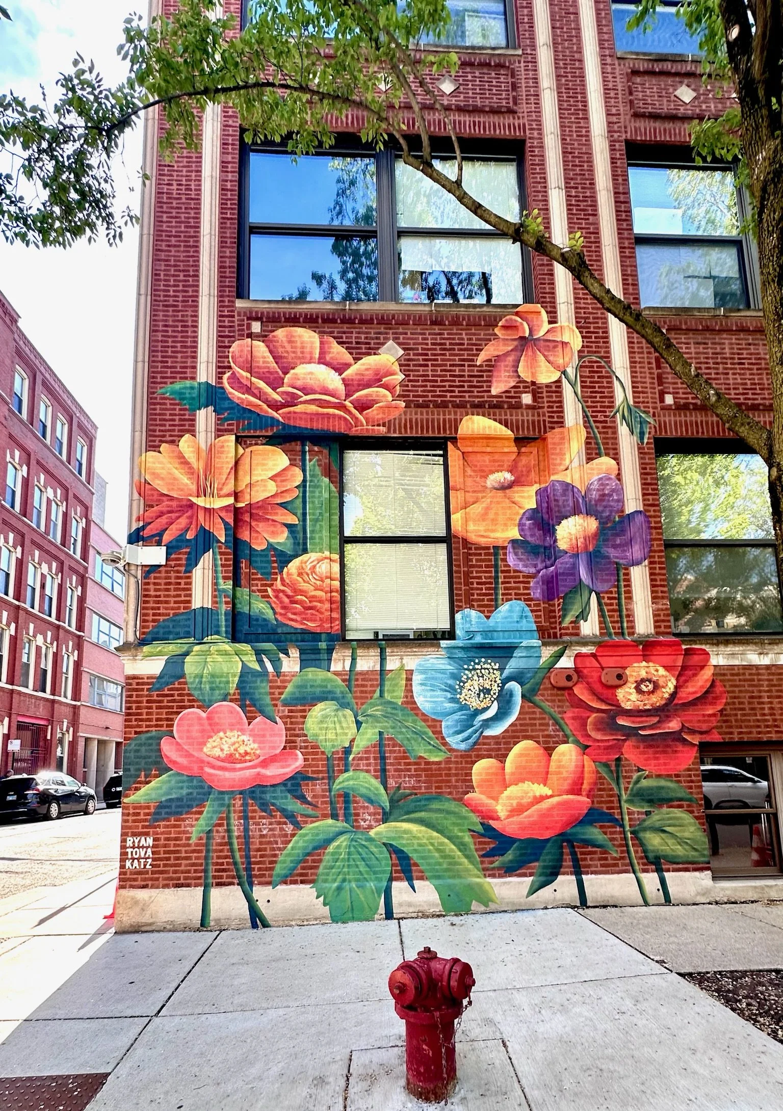 Catherine Cook Elementary 