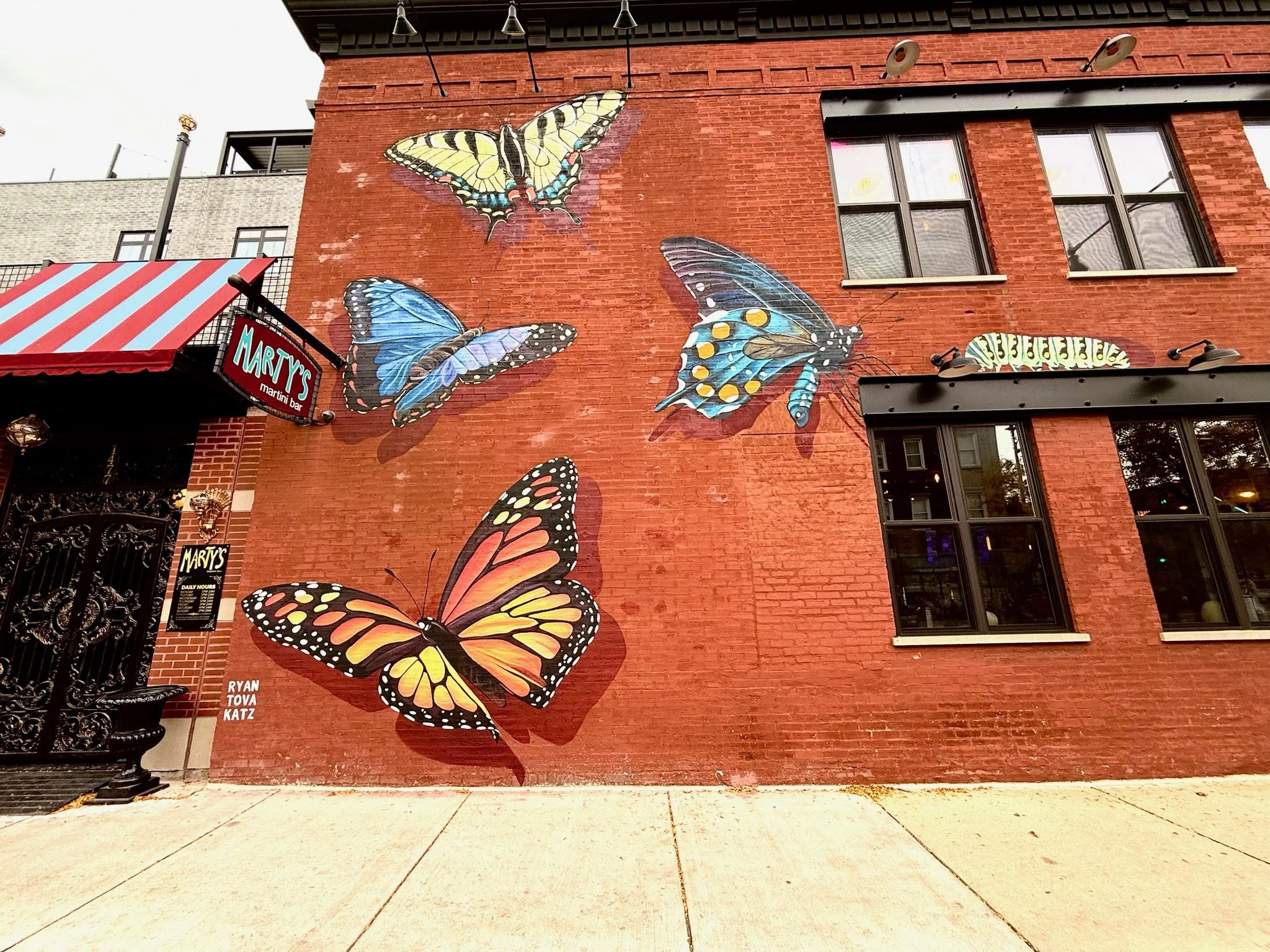 Andersonville’s Butterflies 