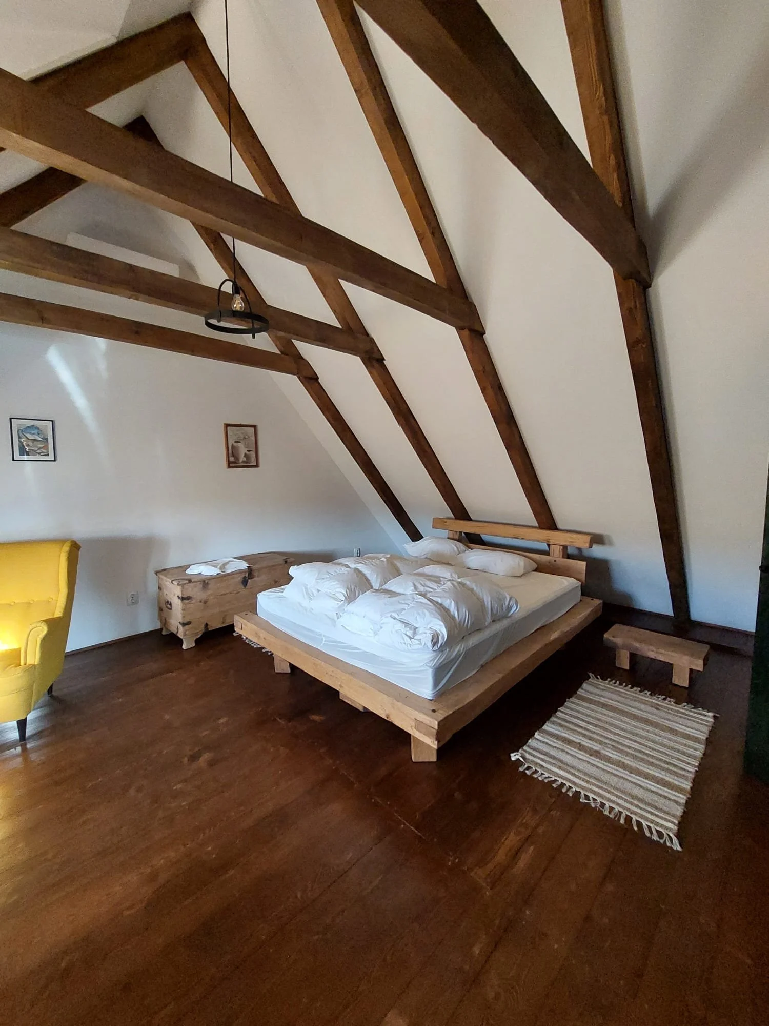 WhatsApp Image 2026-04-25 at 4.34.19 PM (1).jpeg