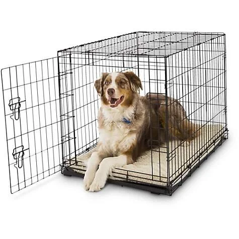 human dog cage