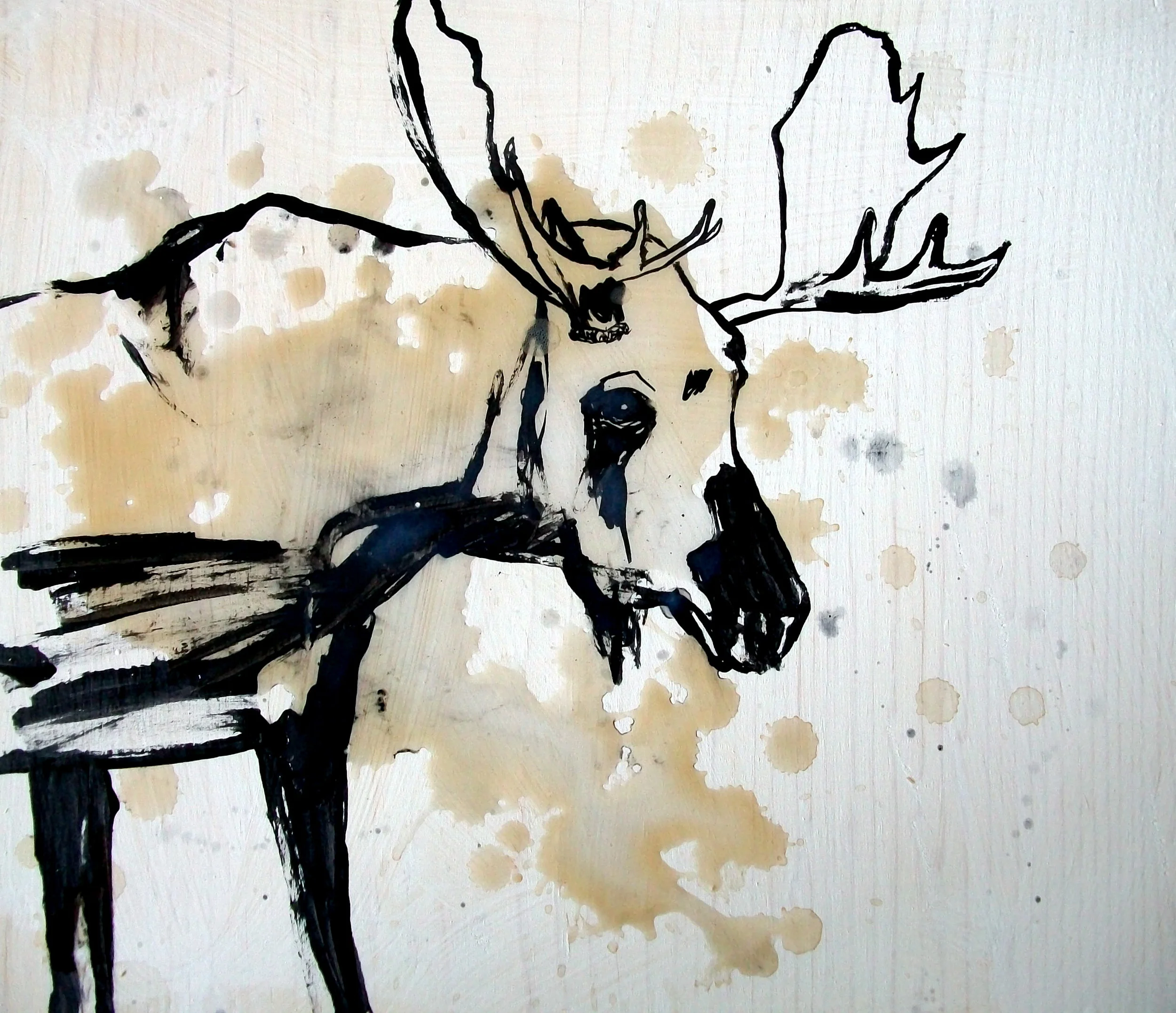 Coffee Moose