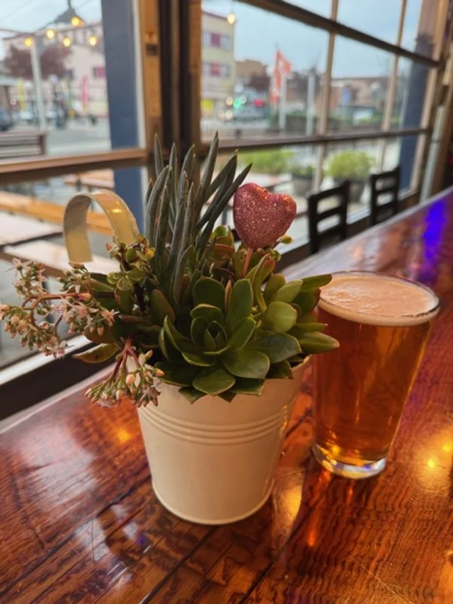 Galentine's Pints &amp; Plants: A Succulent Workshop